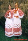 POSAVINA
